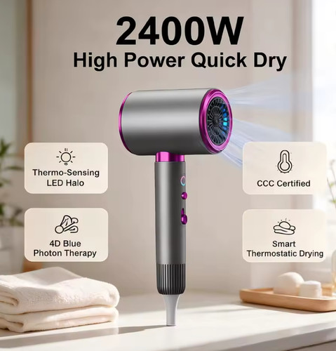 2400w high speed - high, hair
